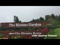 The Blooms Garden | The Biggest Garden in Bali