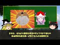 【ゆっくり解説】島津四兄弟九州統一戦最終回ー四兄弟の降伏と戦後処置、歳久・家久の最期