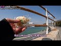 Shimanami-Kaido Cycling Japan