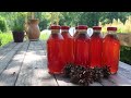 Pine Cone Syrup -  Delicious and Healthy - How to Make