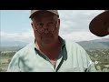 Harvesting Ant Eggs & Stink Bugs in Mexico | Bizarre Foods with Andrew Zimmern | Travel Channel