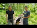 Roy Keane opens up on dog walk with Gary Neville | The Overlap