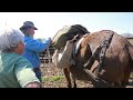 Packing Clinic 2016 Bill Van Squaw Hitch