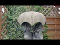 Garden Tour in June with Lui| Am Ende, es hat geregnet  #garden#dog#flowers#shoutout#rain