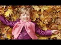 DECIDUOUS AND EVERGREEN LEAVES | Educational Video for Kids