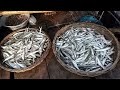 শিখে নিন ছিপনি পদ্ধতির চমকপ্রদ মাছ ধরা - Slingshot Fishing - Best Hook Fishing