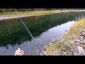 How to Fish a Dry Fly on Spinning Gear - St. Joe River Trout Fishing