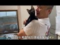 【感動の再会】子猫を可愛がっていた先住猫が大喜び‼︎