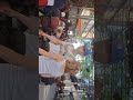 Queensland Wind and Bras performance at Queen Street Mall 9/6/2024 part 2