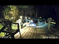 Bear on our deck ramp