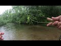 MN Trout Fishing - 06-15-2024