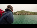 Otago Peninsula Wildlife Cruise