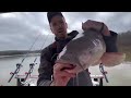 40 Minutes of Monster Catfish Action (Giant Catfish Compilation)