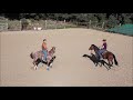 The wayfaring rider - Pferdeausbildung auf der Finca Romeral, Ronda, Spain