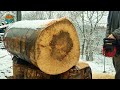 166 AMAZING Fastest Big Chainsaw Machines Cutting Tree Working At Another Level | Best Of The Week