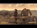Characters' Reactions to Your Companions in Fallout: New Vegas