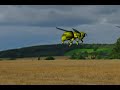 CGI Fly & Bee