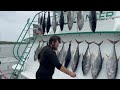 Offshore Tuna Fishing - Galveston Party Boats - Buccaneer