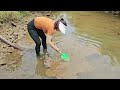 Use the pump to suck water out of the puddle, catch many big and delicious fish.