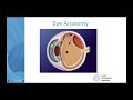 FLOATERS IN MY EYES: youtube eye doctor webinar on eye flashes & floaters