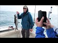 charter fishing lake Ontario