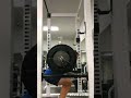 Phase Three - Week Two - Squat and Bench