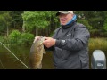 Topwater Smallmouth Bass Fishing in Canada