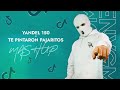 Yandel 150 x Te Pintaron Pajaritos (Enygma Mashup)