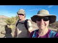 Can we find the Lost Palms Oasis in Joshua Tree National Park? | Perpetual Adventures | Episode 40