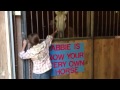 Horse surprise for MaKayla and Taylor