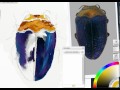 Part 1: Scientific illustration of jewel beetle Trachys, using ArtRage Studio Pro.