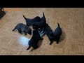 Hungry Puppies Compete for Food with Mother Dog