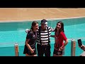 Tom the funniest mime at SeaWorld Orlando 😂🤣 Tom the mime #tomthemime #seaworldmime