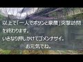 【ポツンと一軒家】衛星画像で見つけた「女性ひとりで守る豪農群」