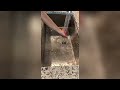 Compilation Random Kitchen Cleaning Tiktok - Video #32