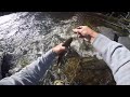 Luella Lake Fast water Brookie