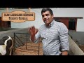Venta de ponys en Colombia