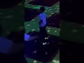 Trampoline Park Part 1