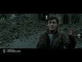 Harry Potter and the Deathly Hallows: Part 2 (5/5) Movie CLIP - Harry vs. Voldemort (2011) HD