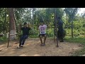 Nagaland zoological park video