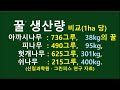 피나무는 어떤 나무일까? : 피나무 vs 좀피나무 : 속껍질, 목재, 섬유, 밀원식물, 바둑판.