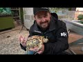 Garden State Tortoise Rescue: Mysterious Behavior Sends 12 African Tortoises to the Vet!