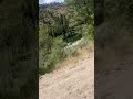 Nature and lake video