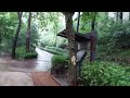 Korea, Seoul, taking a walk with an umbrella, sound of rain, white noise asmr