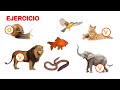 Animales OVÍPAROS y VIVÍPAROS para niños ✔👩‍🏫 PRIMARIA