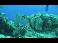 Scuba Diving St. Maarten / St. Martin, Dive Video Log - March 12, 2008 ( Dive 2 )