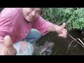 AMISNYA UMPAN CACING‼️ ASAL DI TAROH LANGSUNG DI HAJAR|| MANCING IKAN WADER