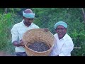 10 MILLION TINY FISHES | Ayira Meen | Rare River Fish Cleaning and Cooking In Village | Fish Recipes