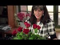 Diana Ryan - How to Arrange A Dozen Roses