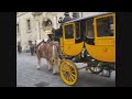 Horse-drawn carriage at Nürnberg Christkindlmarkt